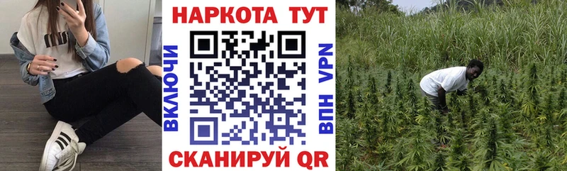 Купить закладку Альфа ПВП  Меф мяу мяу  Канабис  COCAIN  Новомичуринск
