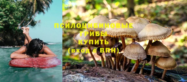 экстази Бородино